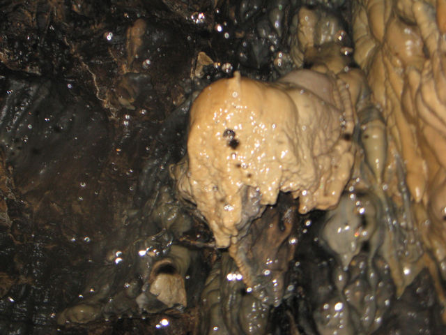 Cave photo contest 070