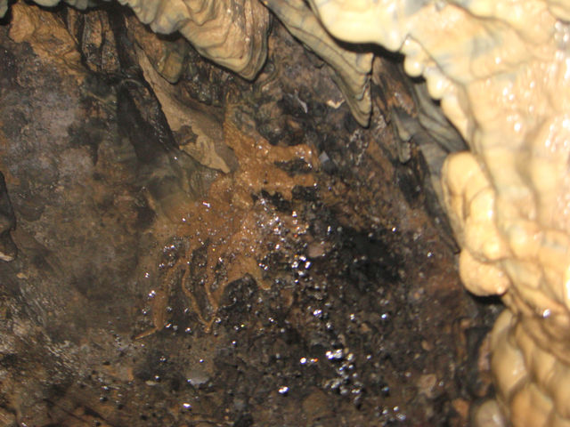 Cave photo contest 037