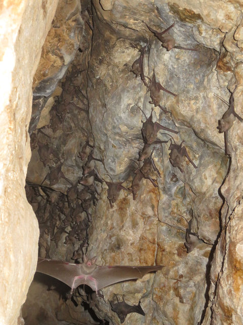 Cave photo contest 052