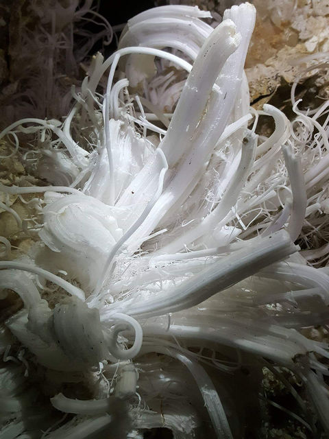 Cave photo contest 040