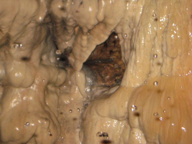 Cave photo contest 032