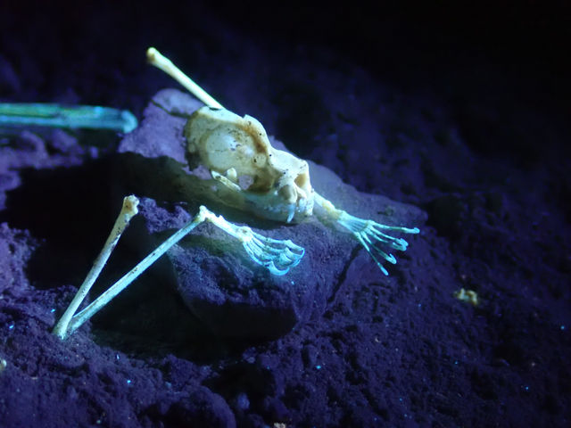 Cave photo contest 007