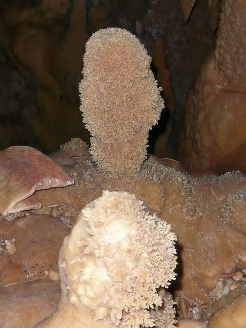 Cave photo contest 081