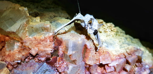 Cave photo contest 066