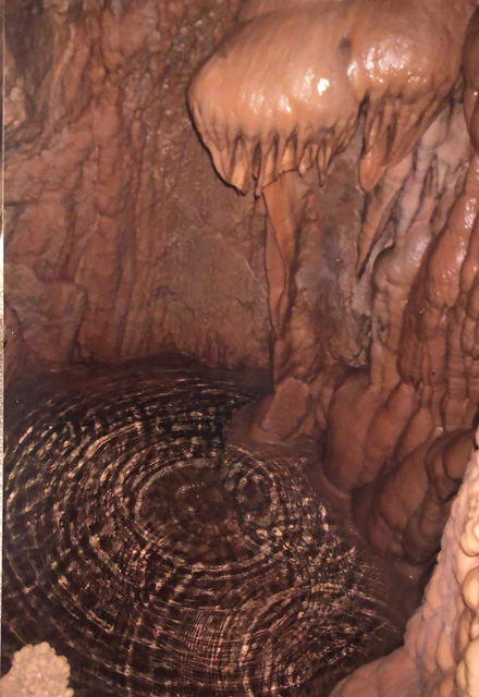 Cave photo contest 020