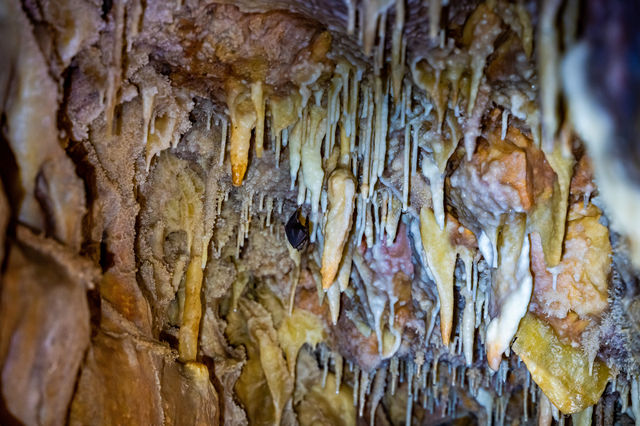 Cave photo contest 074