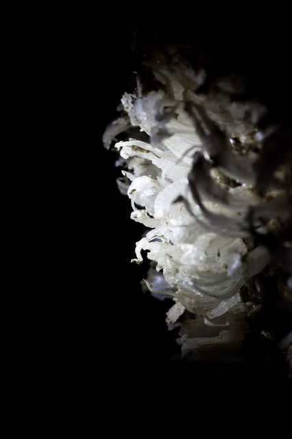 Cave photo contest 078